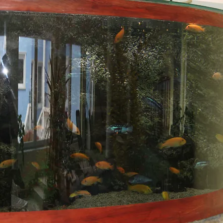 Guest house Blue House