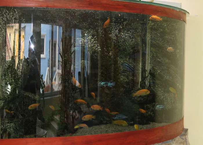 ゲストハウス Blue House